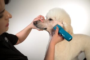 Andis 73515 Pulse Li 5 Cord/Cordless Grooming Clipper for Dogs,