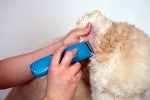 Andis 73515 Pulse Li 5 Cord/Cordless Grooming Clipper for Dogs,